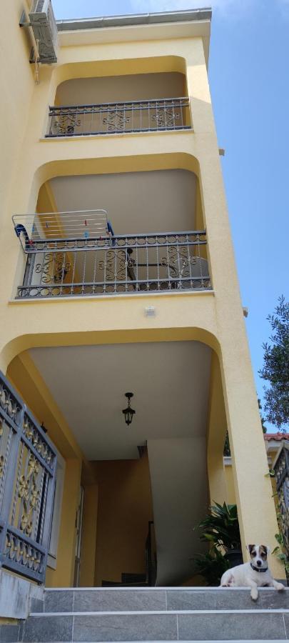 Apartments Sofija Slatine Extérieur photo